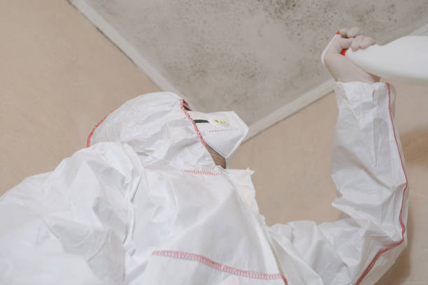 Inman, SC Mold Removal Company